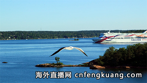 微信视频号海外直播权限如何开通？