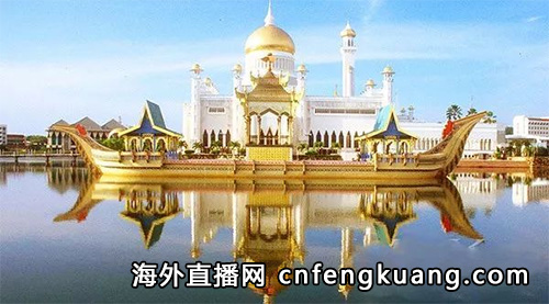 抖音在文莱如何开通直播权限（抖音境外直播权限怎么打开）
