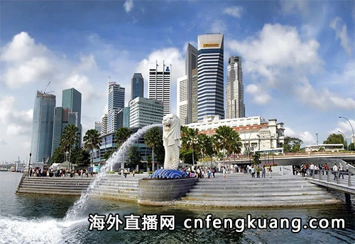 新加坡怎么开通抖音直播权限（抖音在海外如何开直播）