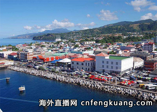 抖音在多米尼克怎么开通直播（抖音海外直播权限解决方法）