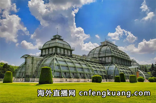 抖音在奥地利怎么开通直播权限（国内抖音在海外可以直播吗）