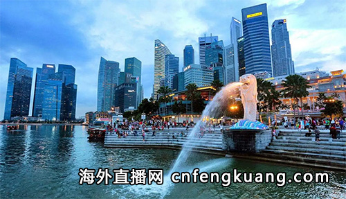 抖音在新加坡怎么开通直播（抖音海外直播权限申请）
