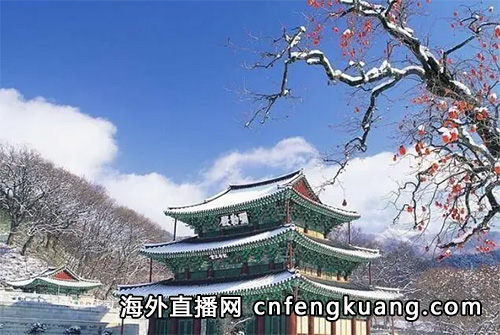 抖音在韩国怎么开通直播权限（在海外抖音如何开直播）