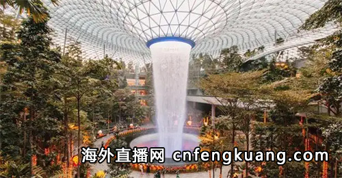 抖音在新加坡如何开通直播（人在国外怎么开抖音直播）