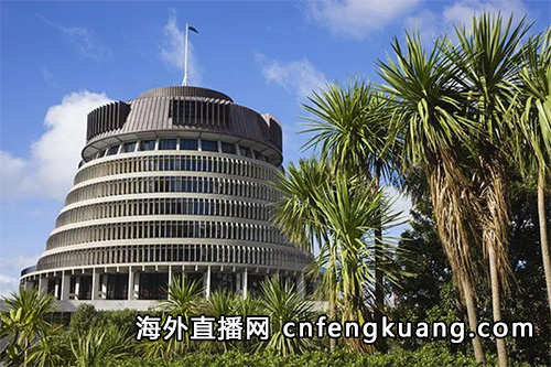抖音如何在新西兰开直播（抖音海外直播权限怎么申请开通）