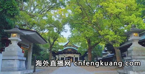 在日本抖音怎么开直播（抖音海外直播权限开通流程）