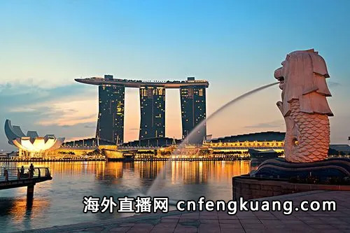视频号怎么在新加坡开直播（视频号如何在国外开直播）
